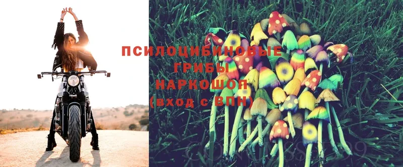 Псилоцибиновые грибы Magic Shrooms  Екатеринбург 